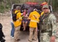 Hallan con vida a adulta mayor desaparecida cerca de la selva en Playa del Carmen