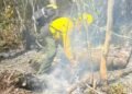 Más de 90 brigadistas participaron en apagar el incendio en Santuario del Manatí