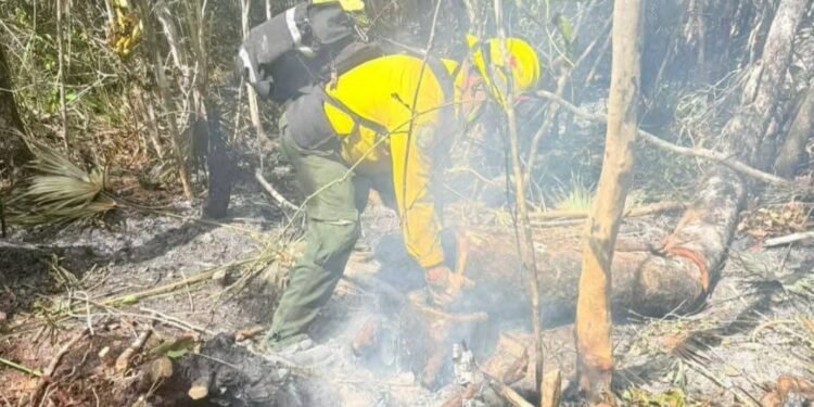 Más de 90 brigadistas participaron en apagar el incendio en Santuario del Manatí