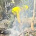 Más de 90 brigadistas participaron en apagar el incendio en Santuario del Manatí