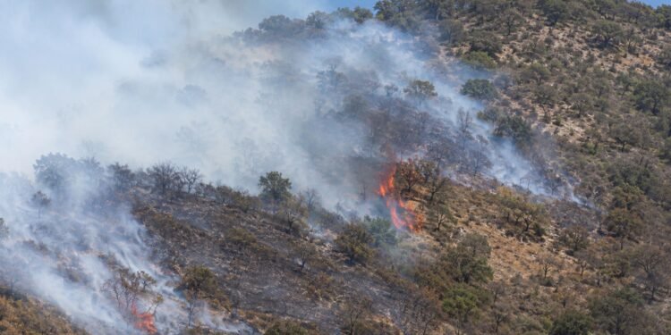¿Calor extremo e incendios? El fuego avanza en México y estos estados ya viven la peor parte