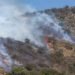 ¿Calor extremo e incendios? El fuego avanza en México y estos estados ya viven la peor parte