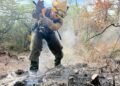 366 hectáreas dañadas: el saldo del incendio que amenazó el Santuario del Manatí