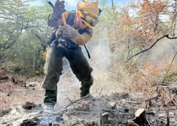 366 hectáreas dañadas: el saldo del incendio que amenazó el Santuario del Manatí