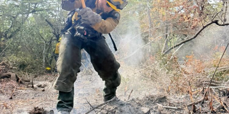 366 hectáreas dañadas: el saldo del incendio que amenazó el Santuario del Manatí