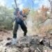 366 hectáreas dañadas: el saldo del incendio que amenazó el Santuario del Manatí