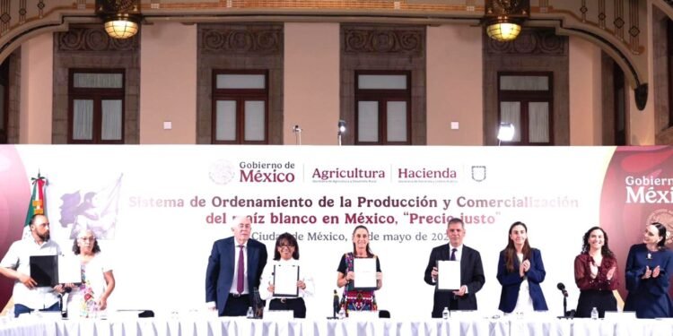Acuerdan Gobierno, productores y empresas precio justo a próxima cosecha de maíz