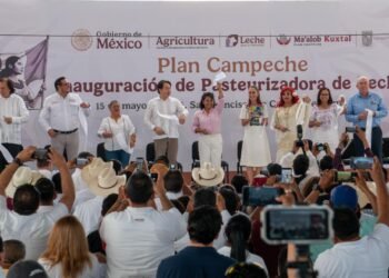 Campeche se proyecta como nuevo polo lechero del sureste con apoyo federal