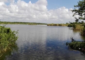 ¿Estamos matando la Sabana? CONAGUA alerta daño por basura y rellenos clandestinos