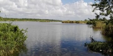 ¿Estamos matando la Sabana? CONAGUA alerta daño por basura y rellenos clandestinos