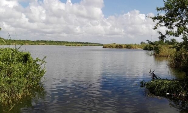 ¿Estamos matando la Sabana? CONAGUA alerta daño por basura y rellenos clandestinos
