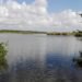 ¿Estamos matando la Sabana? CONAGUA alerta daño por basura y rellenos clandestinos