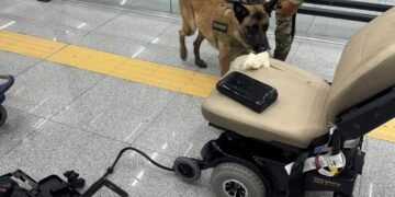 Frenan silla de ruedas en el AICM por ir muy “tuneada”… pero con cocaína. Así lo descubrieron