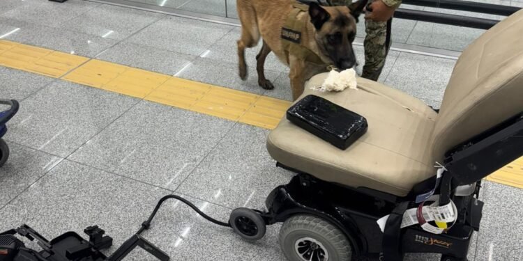 Frenan silla de ruedas en el AICM por ir muy “tuneada”… pero con cocaína. Así lo descubrieron