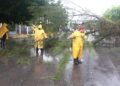 Activan “Operativo Tormenta” por intensas lluvias; encharcamientos y árbol caído