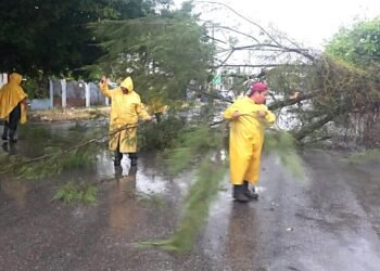 Activan “Operativo Tormenta” por intensas lluvias; encharcamientos y árbol caído