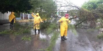 Activan “Operativo Tormenta” por intensas lluvias; encharcamientos y árbol caído