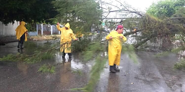 Activan “Operativo Tormenta” por intensas lluvias; encharcamientos y árbol caído