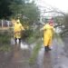 Activan “Operativo Tormenta” por intensas lluvias; encharcamientos y árbol caído