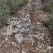 ¿Un altar oculto por siglos? Descubrimiento maya sorprende en Yucatán