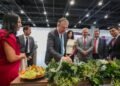México blinda el aguacate michoacano; así busca proteger su “oro verde” ante el mundo