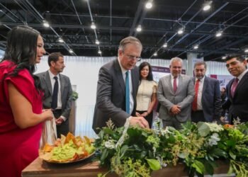 México blinda el aguacate michoacano; así busca proteger su “oro verde” ante el mundo