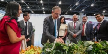 México blinda el aguacate michoacano; así busca proteger su “oro verde” ante el mundo