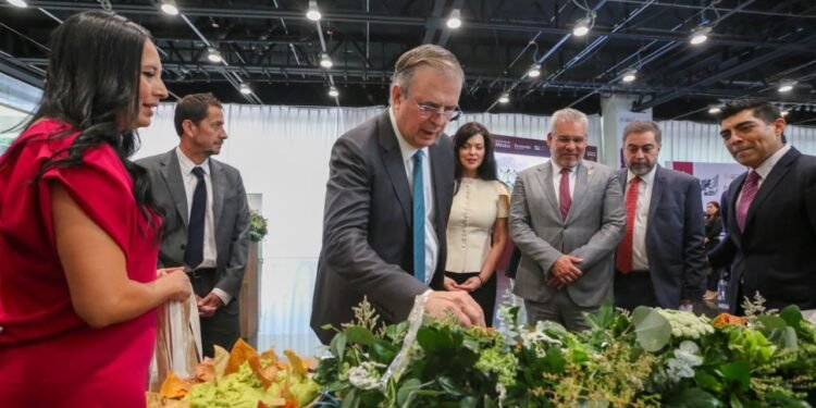 México blinda el aguacate michoacano; así busca proteger su “oro verde” ante el mundo