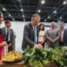 México blinda el aguacate michoacano; así busca proteger su “oro verde” ante el mundo