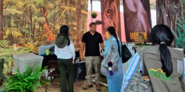 ¿Mascotas exóticas o delito ambiental? Profepa interviene comercializadora en Veracruz