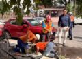 De no creer; rescatan cocodrilo escondido en una coladera de Ciudad de México
