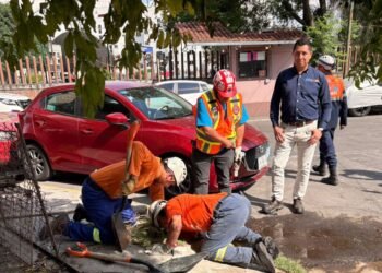 De no creer; rescatan cocodrilo escondido en una coladera de Ciudad de México