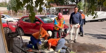De no creer; rescatan cocodrilo escondido en una coladera de Ciudad de México