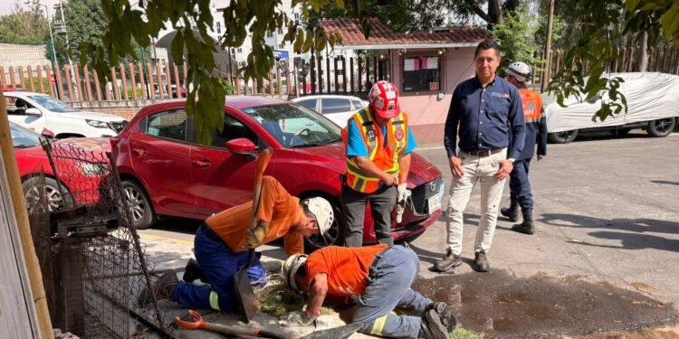 De no creer; rescatan cocodrilo escondido en una coladera de Ciudad de México