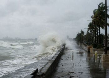 Confirman la llegada de El Niño y los pronósticos preocupan a los expertos