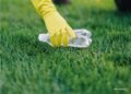 Mundial 2026 apuesta por la sustentabilidad: esta es la meta de PET que busca reciclar en México