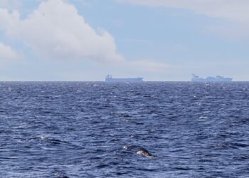 Evacuación sin precedentes en Ormuz; así será la salida de miles de marinos