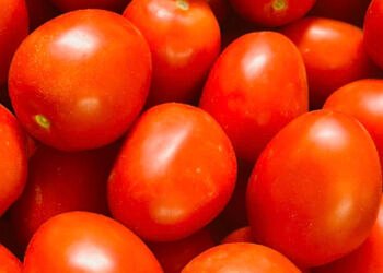 ¿El jitomate ya bajó de precio? Esto es lo que sabemos hasta ahora
