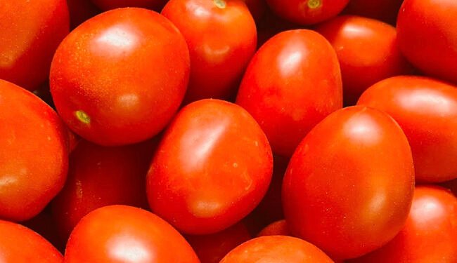 ¿El jitomate ya bajó de precio? Esto es lo que sabemos hasta ahora