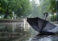 ¿Habrá descanso de la lluvia? El pronóstico para el fin de semana no trae buenas noticias