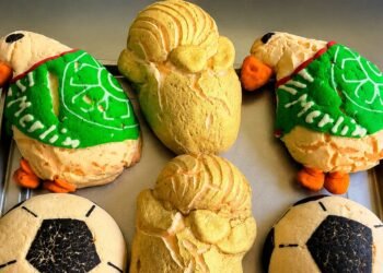 El fenómeno Merlín no se detiene; crean conchas inspiradas en el pato que conquistó el Mundial