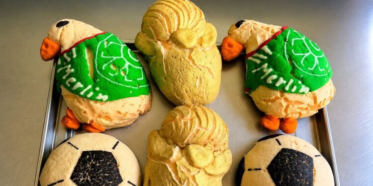 El fenómeno Merlín no se detiene; crean conchas inspiradas en el pato que conquistó el Mundial
