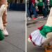 ¿Llegó competencia para Merlín? La patita Juanita aparece en el Mundial, pero las redes ya eligieron a su favorito