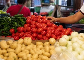 Jitomate, papa y chile siguen presionando el bolsillo; Gobierno anuncia acuerdo para bajar precios