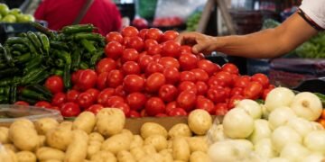 Jitomate, papa y chile siguen presionando el bolsillo; Gobierno anuncia acuerdo para bajar precios