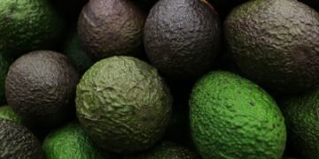 El “oro verde”, termómetro de la economía mexicana: José Eduardo López Portillo