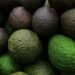 El “oro verde”, termómetro de la economía mexicana: José Eduardo López Portillo