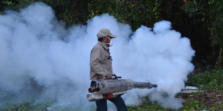 ¿Está tu colonia en la lista? Inicia fumigación contra el dengue en sectores prioritarios