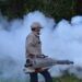¿Está tu colonia en la lista? Inicia fumigación contra el dengue en sectores prioritarios