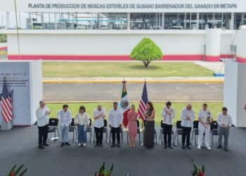 Así funcionará la planta que México y EU construyeron para combatir el gusano barrenador